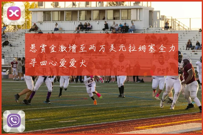 悬赏金激增至两万美元拉姆塞全力寻回心爱爱犬