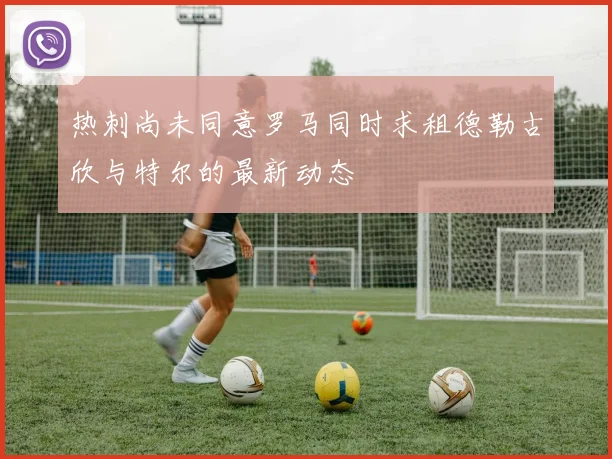 热刺尚未同意罗马同时求租德勒古欣与特尔的最新动态